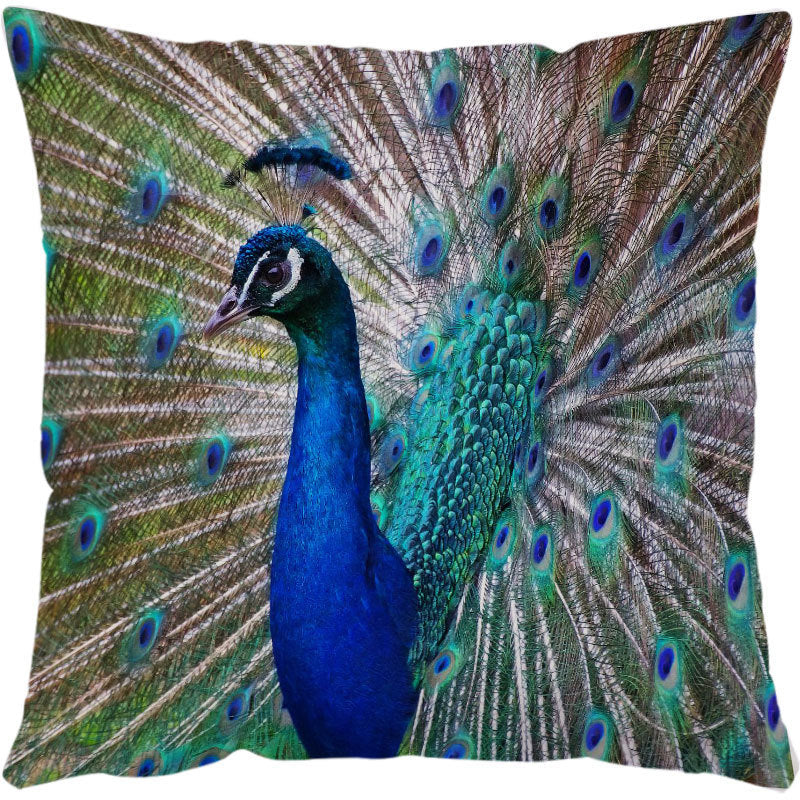 Printed Throw Pillow Cases For Home Decor Sofa Chair Seat